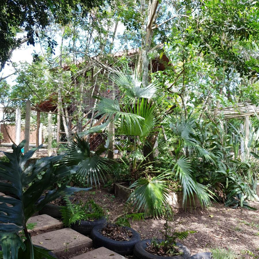Ecocentro Brasil - Espaço Ecológico Sao Pedro  Extérieur photo